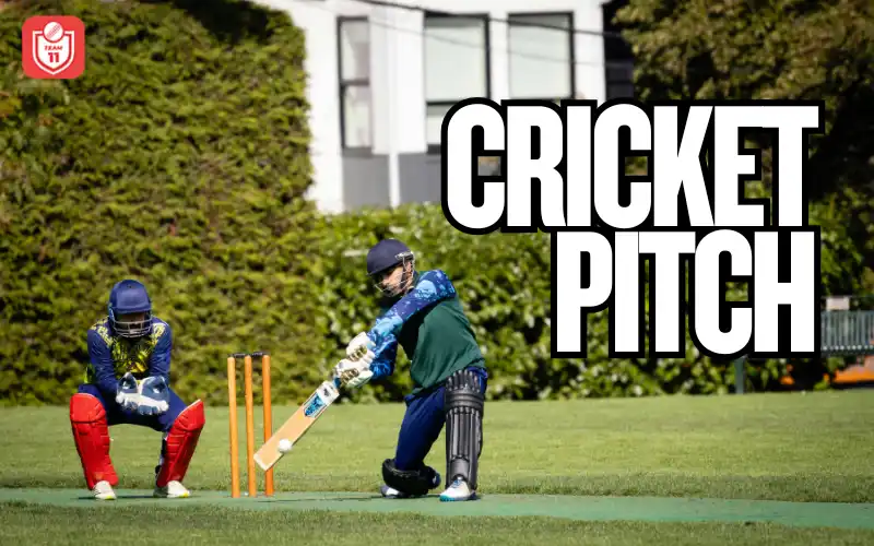 Cricket Pitch