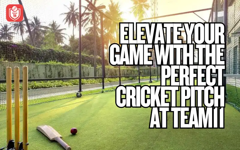 Cricket Pitch